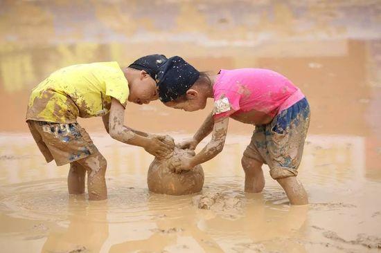 清迈大象义工,清迈大象救助营