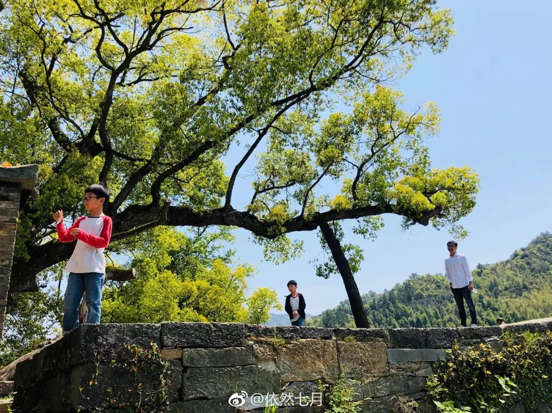 婺源清华朴园,婺源旅游攻略2日游民宿
