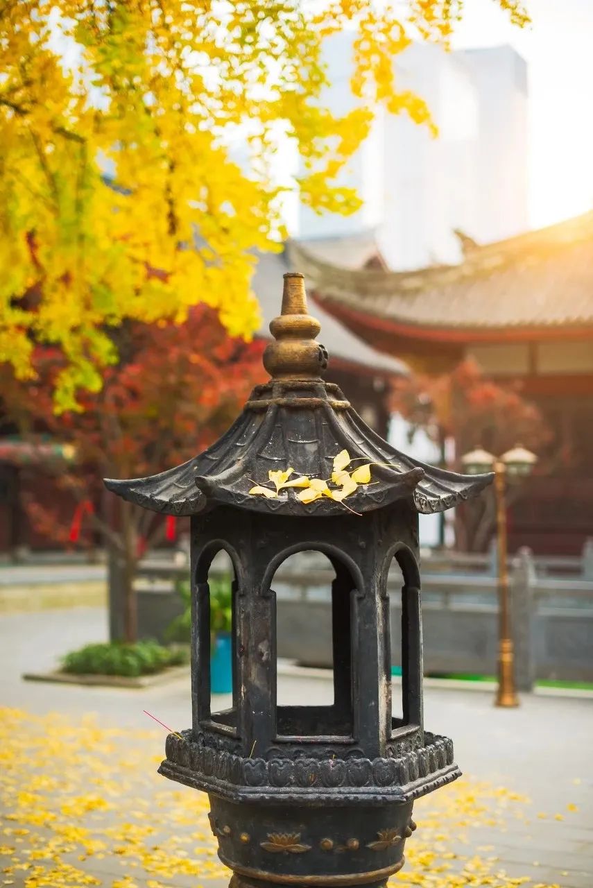 因为一首歌而爆火的城市,靠着一首歌走红的人