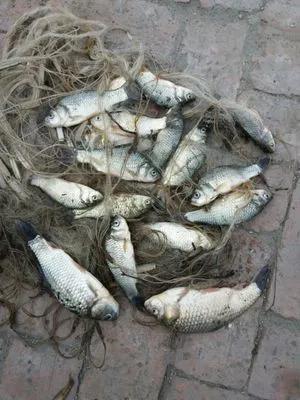 户外迷路怎么办安全教案,沙漠迷路自救方法