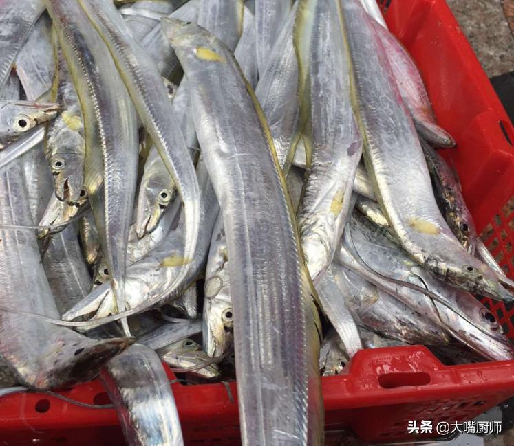 十几一斤和二十几一斤的带鱼区别,为什么带鱼段就几块一斤