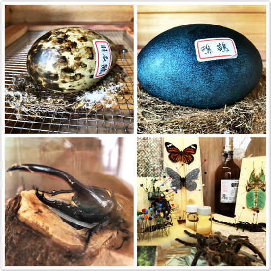 太有幸福感了！周杰伦同款奶茶喝到撑！攻略在此，拿走不谢