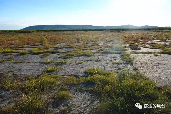 华为人宣誓做“牡丹江”，原来牡丹江东北老航校在任正非心中地位非凡！