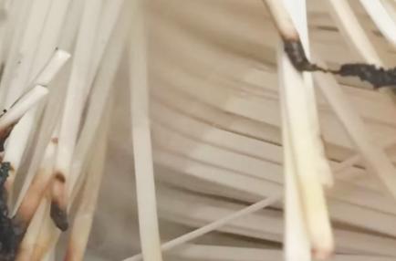 吃面养胃还是伤胃,吃面还是喝粥养胃