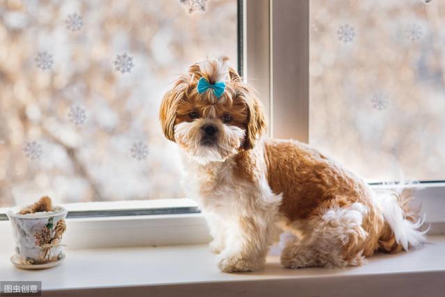 朋友圈英语怎么说,朋友圈英语怎么说circle