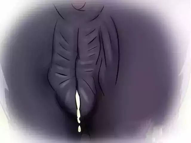 怎么辨别奶牛的奶真假,奶牛分娩前有哪些征兆