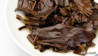 白茶的九大特点,白茶应该什么味