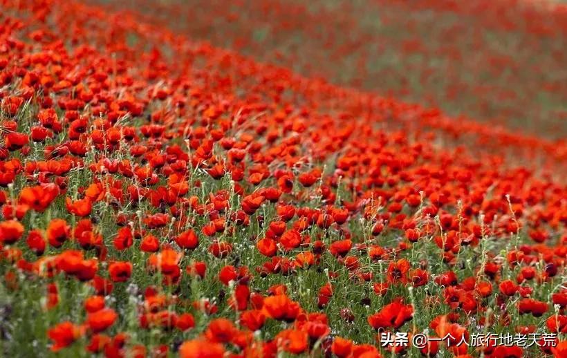 治愈系风景一辈子总要去一次新疆,去新疆的路上看不一样的风景