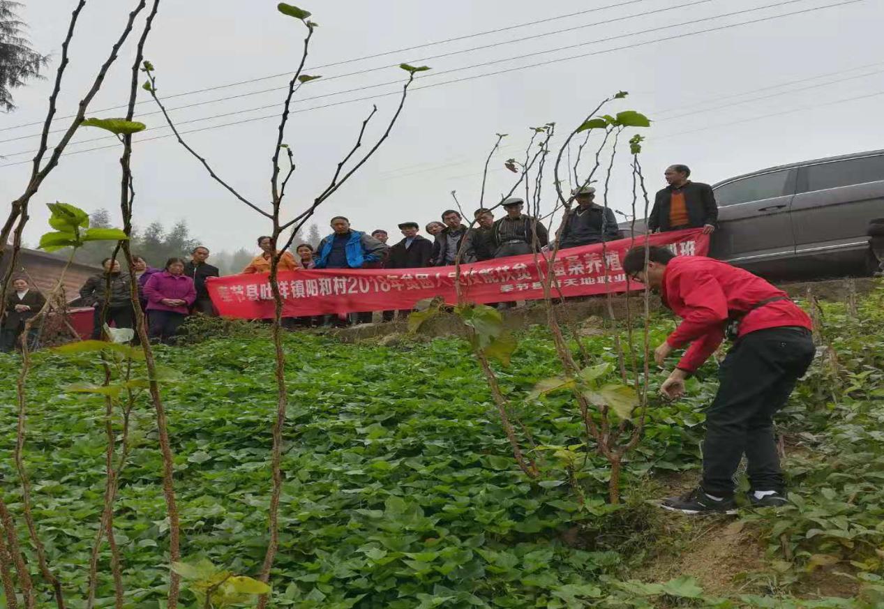 重庆奉节三国故事,奉节的故事