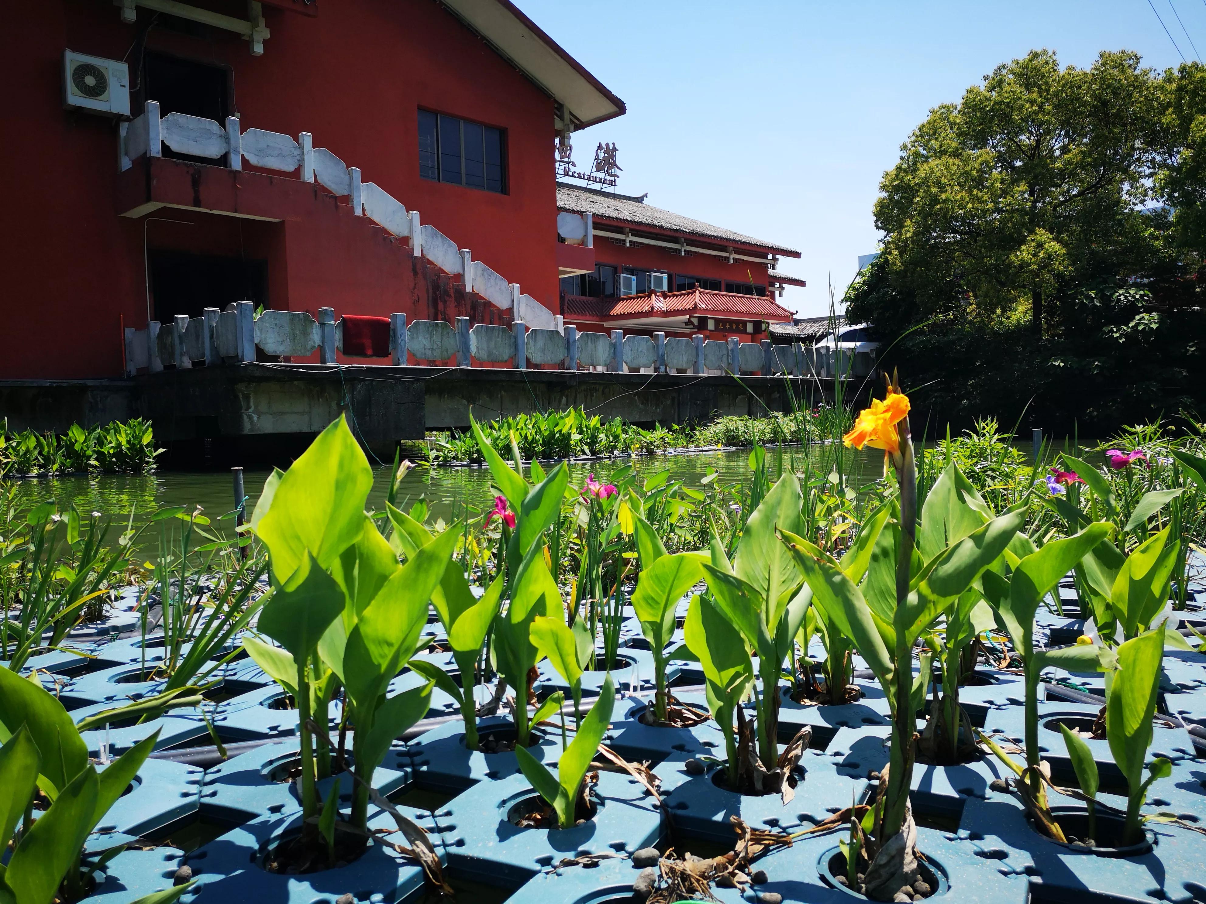 宁波东钱湖西湖,宁波东钱湖最大的西湖