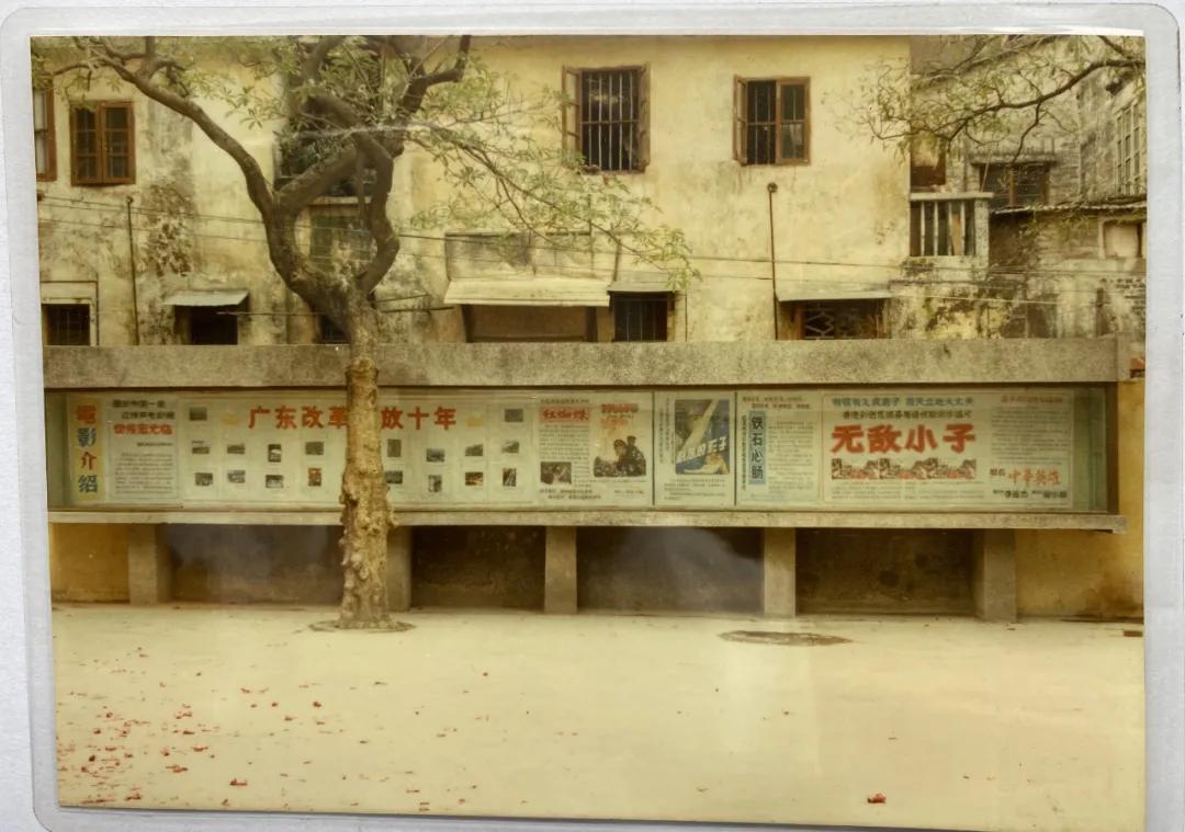 TA是肇庆首家中央空调立体声电影院!照片里的记忆,戳心了