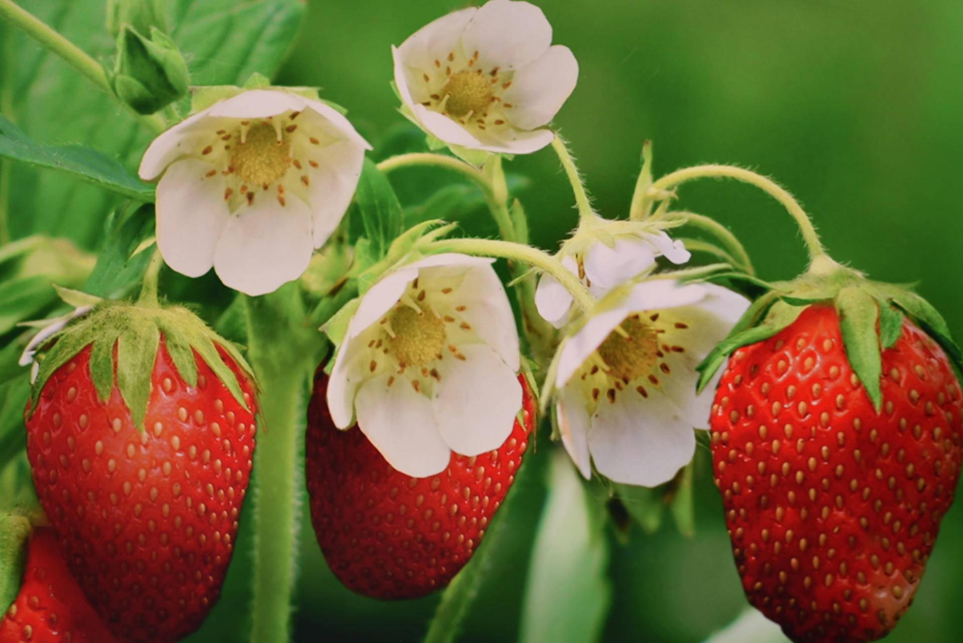 hkc240hz显示器好屏如潮,hkc显示器32英寸2k曲面屏怎么样