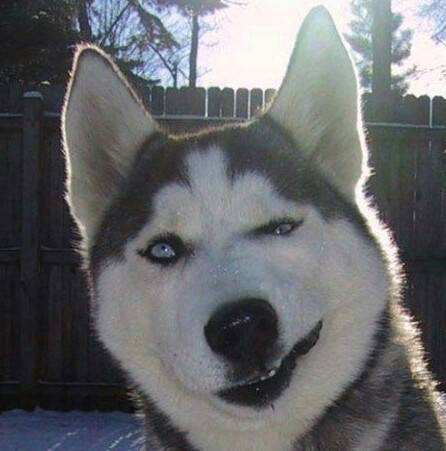 一辆汽车一般可以开多少年,一辆汽车能开多久报废