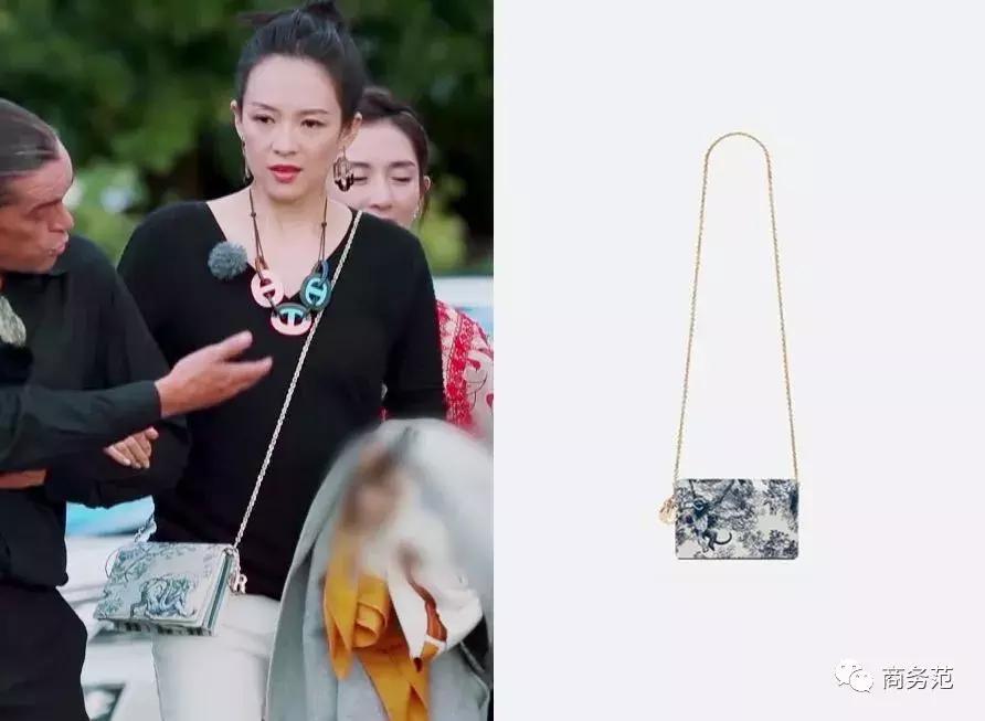 袁咏仪戴劳力士,袁咏仪卡地亚珠宝图