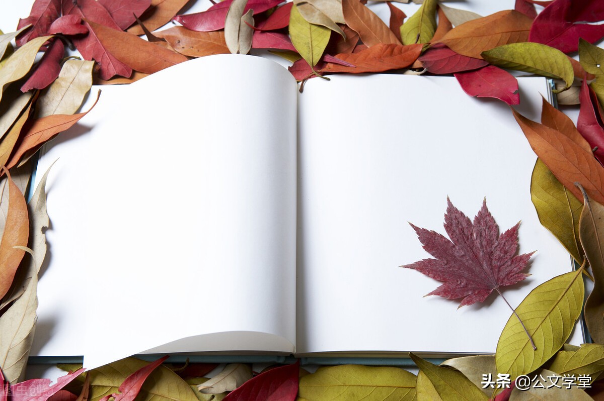 修辞手法大全短一点十个字,常见的修辞手法及作用和例句