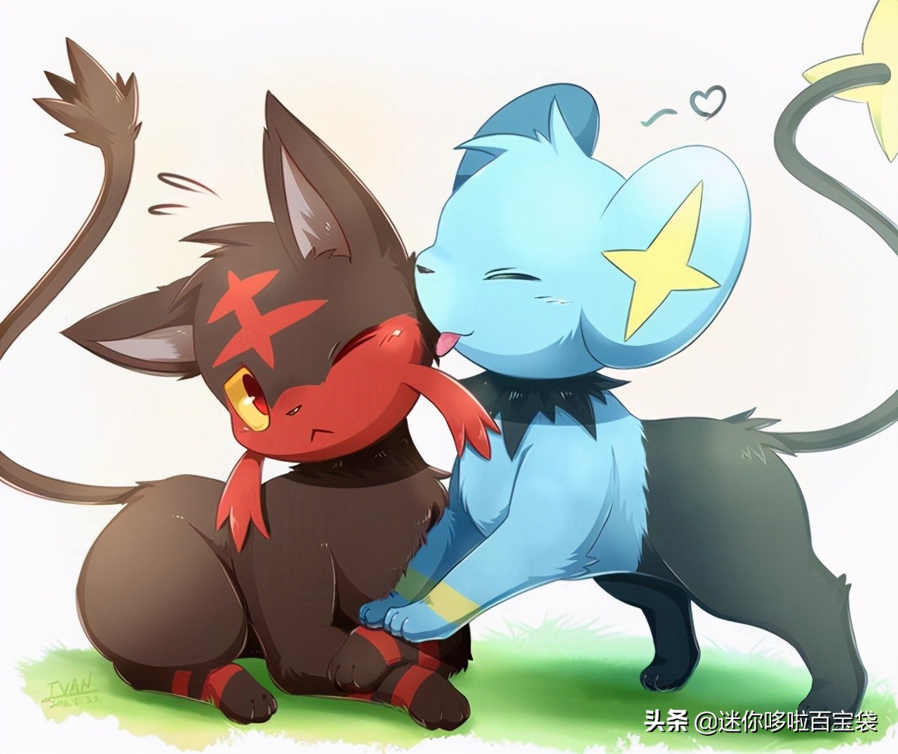 精灵宝可梦中的猫型宝可梦有哪些,精灵宝可梦太阳月亮火斑喵进化