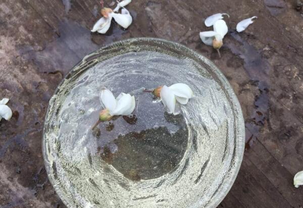 中蜂蜂蜜和意蜂蜂蜜哪个浓度大,蜂蜜的浓度最高有多少度数