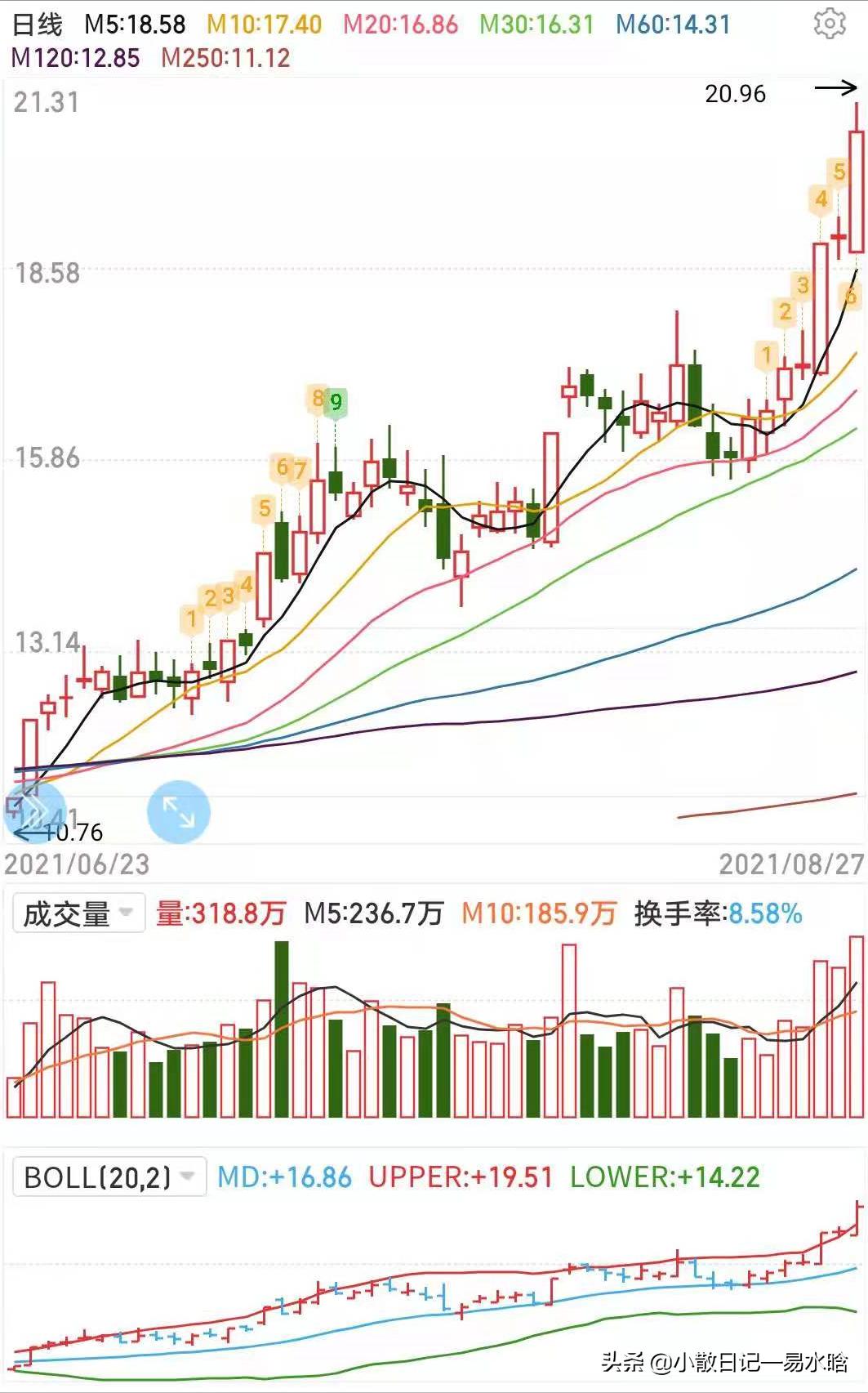 每日财经知识视频,boll布林线详细讲解