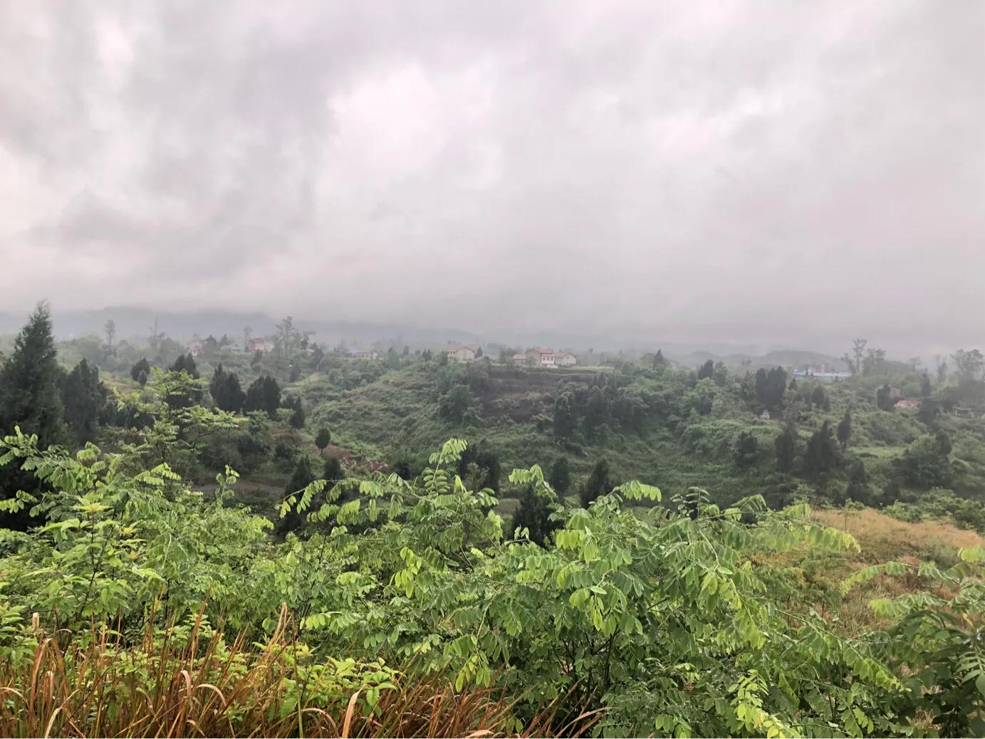 马家岩紫色花树,马家岩宜居