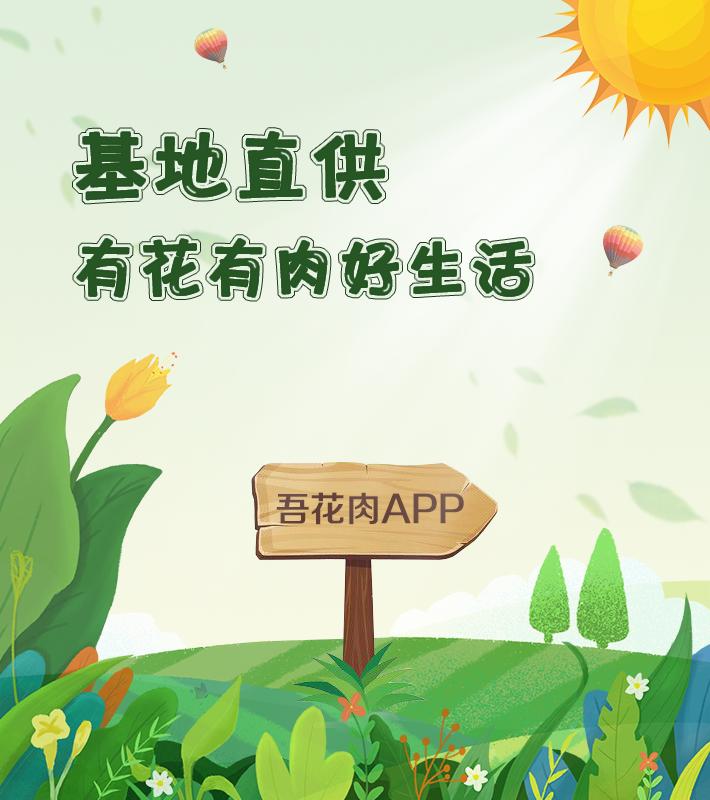 有暗纹的多肉有哪些,暗纹系多肉有哪些