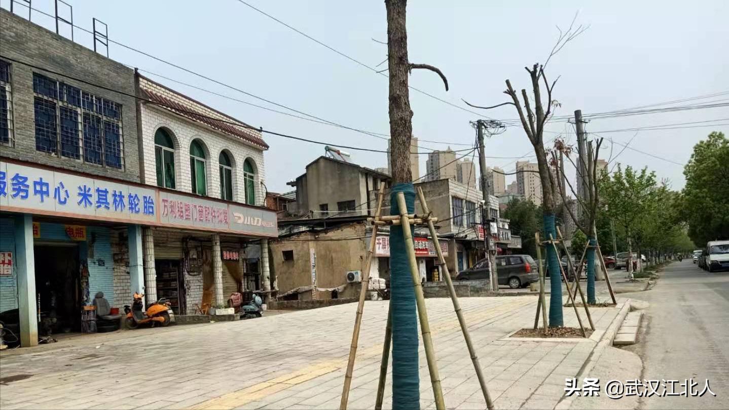 武汉盘龙城公园,盘龙城体育公园规划