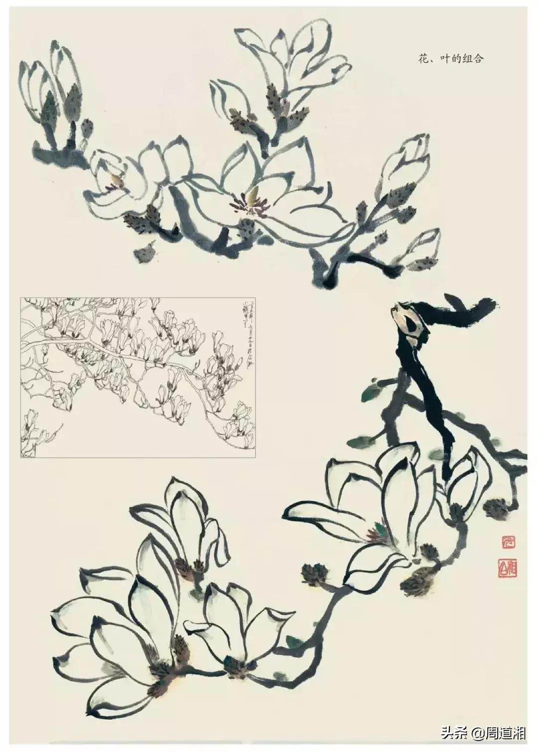 国画花卉大全教程视频,花卉小品国画图片大全