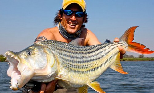 世界上最毒的鱼食人鱼只能排第五,世界上十大最危险的鱼