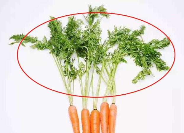 什么蔬菜补钙有利于小孩长高,6-12岁儿童营养长高蔬菜