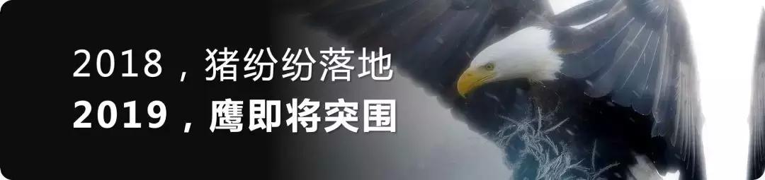 滴滴是亏损还是盈利,滴滴走向穷途末路