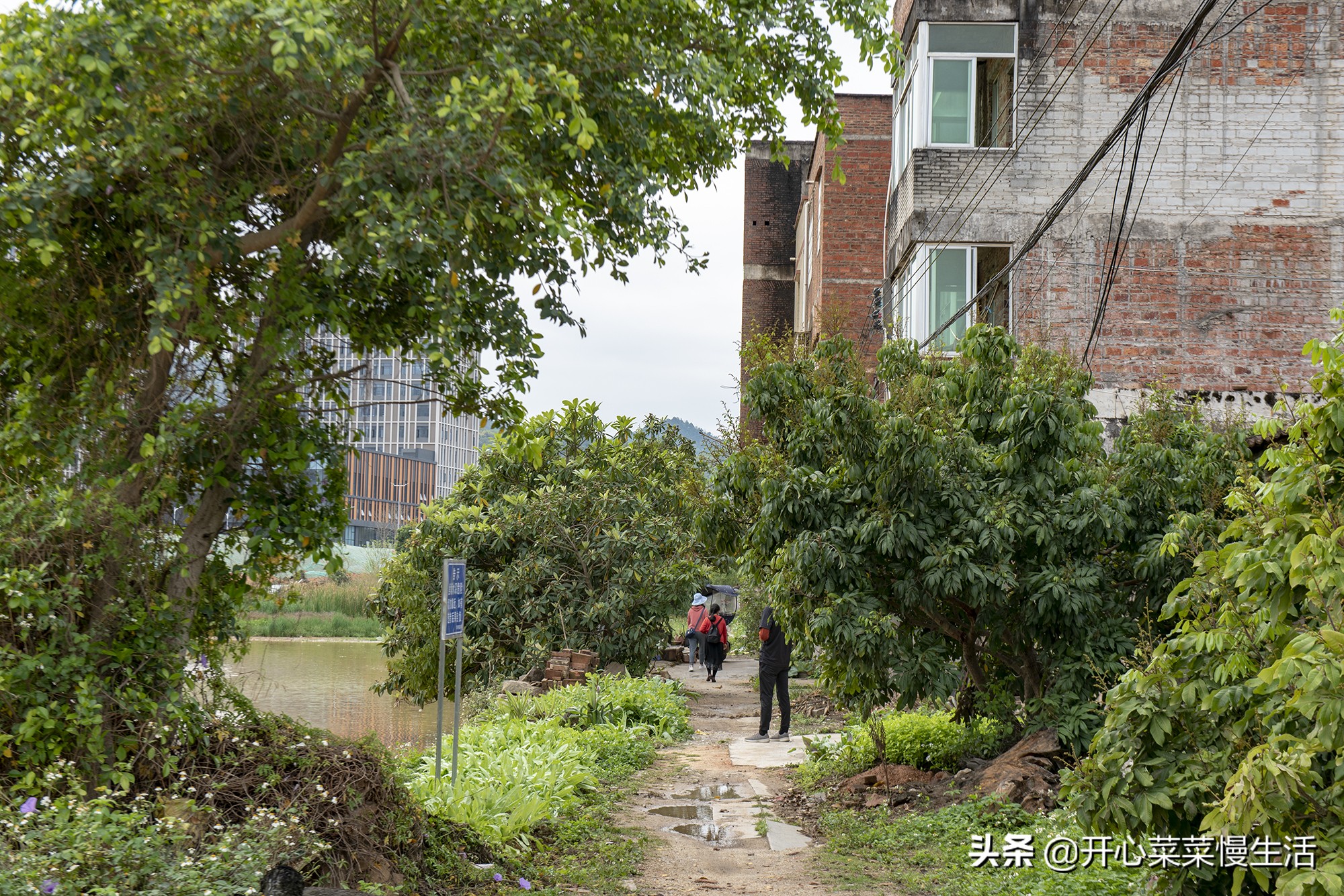 广州这个近900年历史古村要变了,广州古村落现状