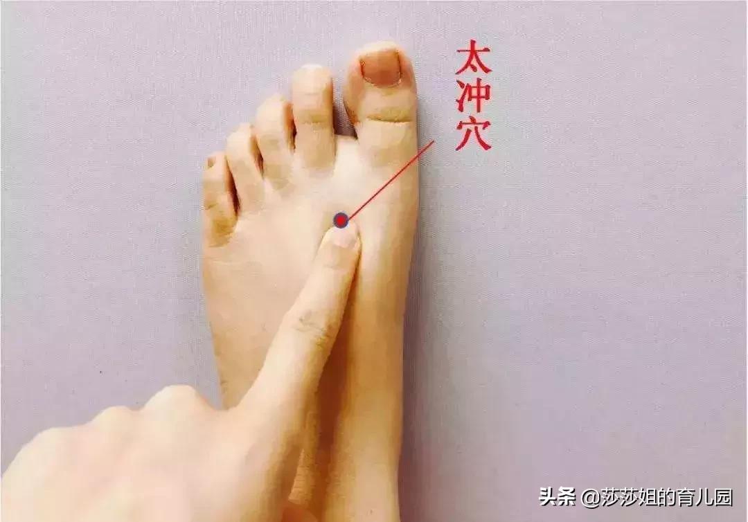 五脏养生的四季规律,五脏与体质养生