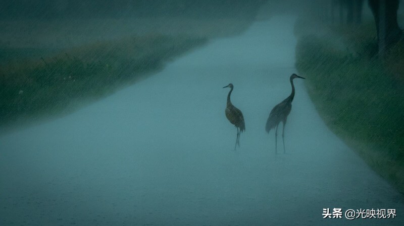 有关雨的美图,雨总能带给人直观的感受