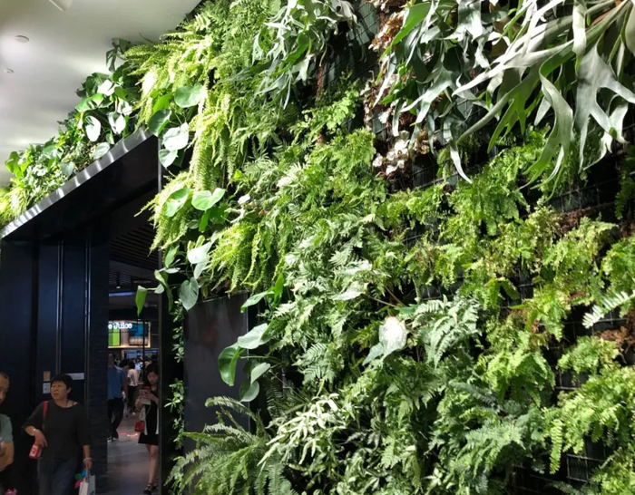 还没过节,济南这里已堵成了人山人海!最大规模的综合体开业!还有水哥王昱珩打造的绿植墙