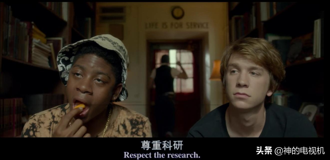 看一部优秀电影并写出观后感,影迷致敬电影