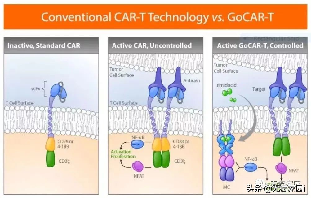 胰腺癌研究获重大突破,肝癌领域研究取得重大突破