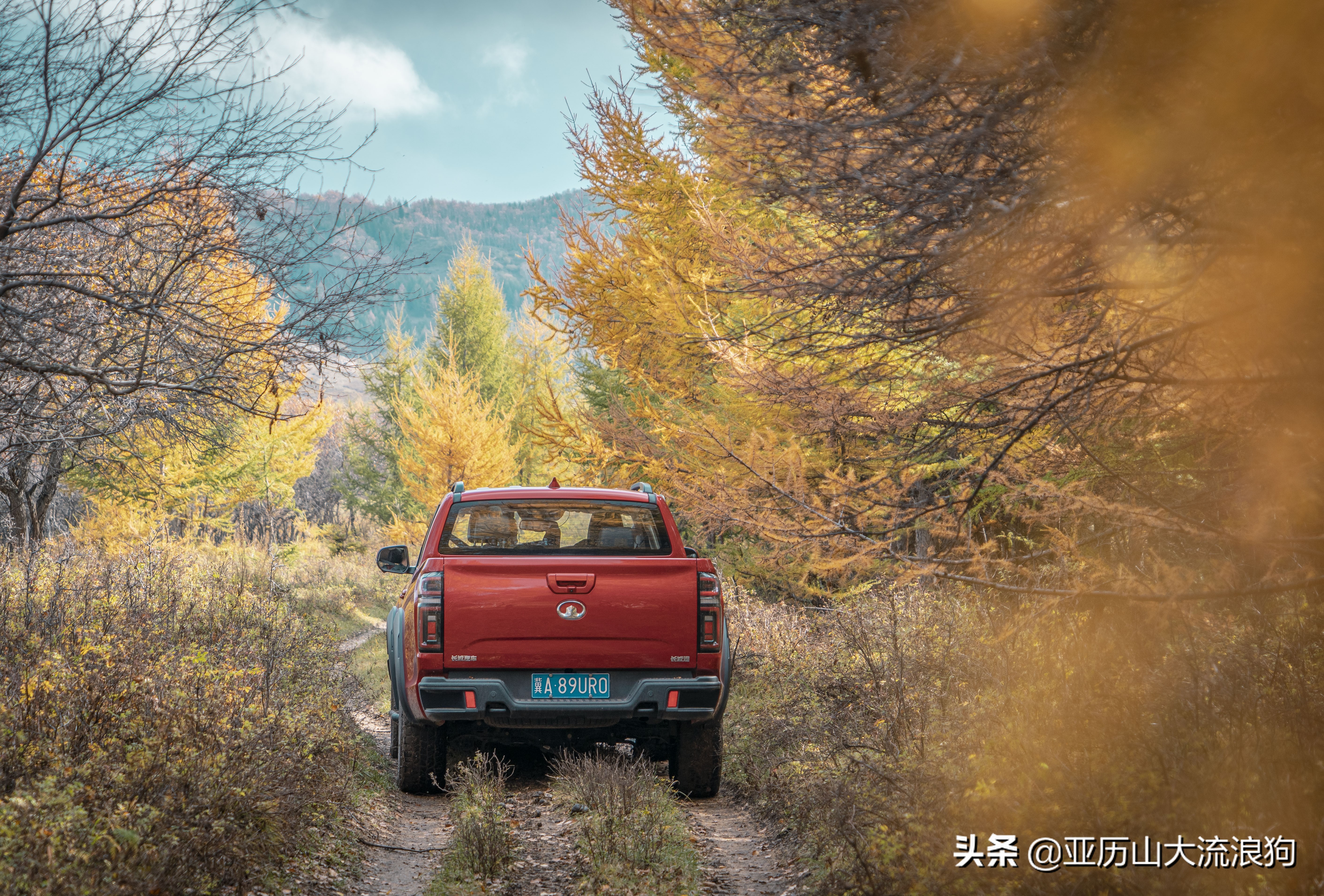 你那秋天来了吗？我这反正颜料泼了一地——内蒙古黄岗梁穿越之旅