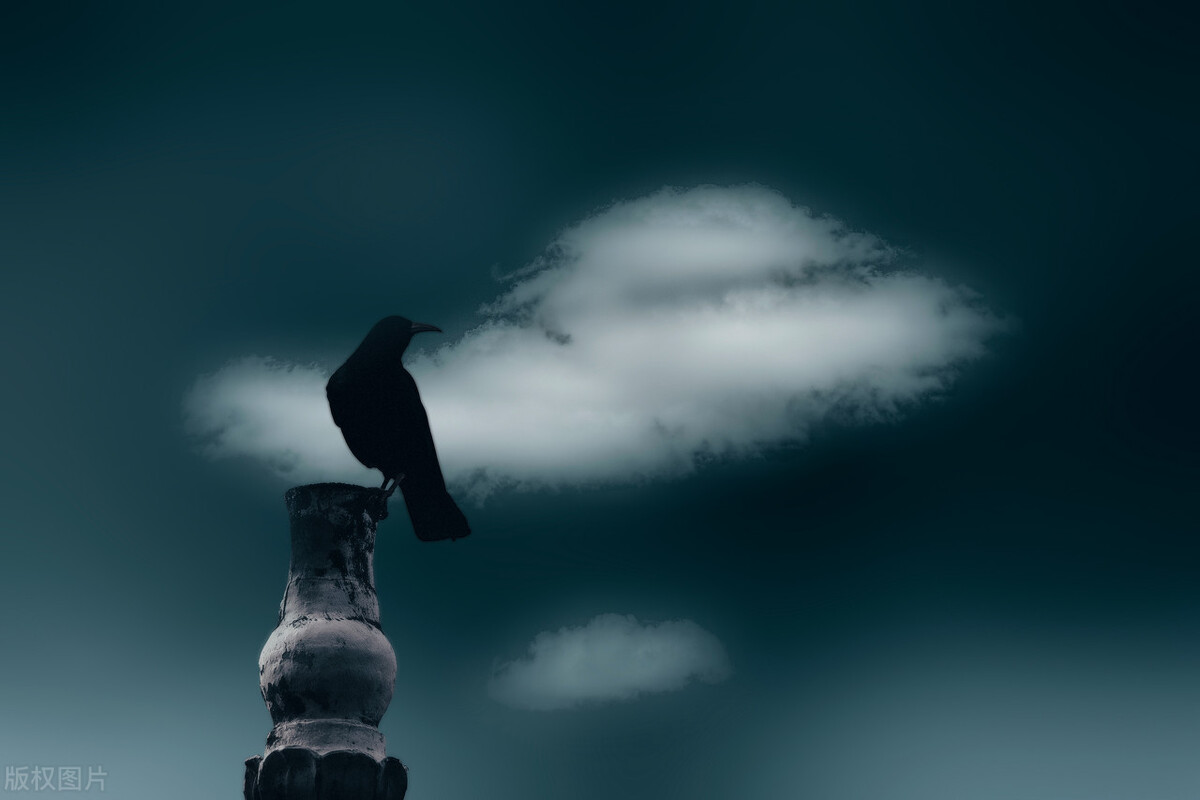 失眠多梦与不多梦有什么讲究吗,失眠多梦的药真的能减少做梦吗