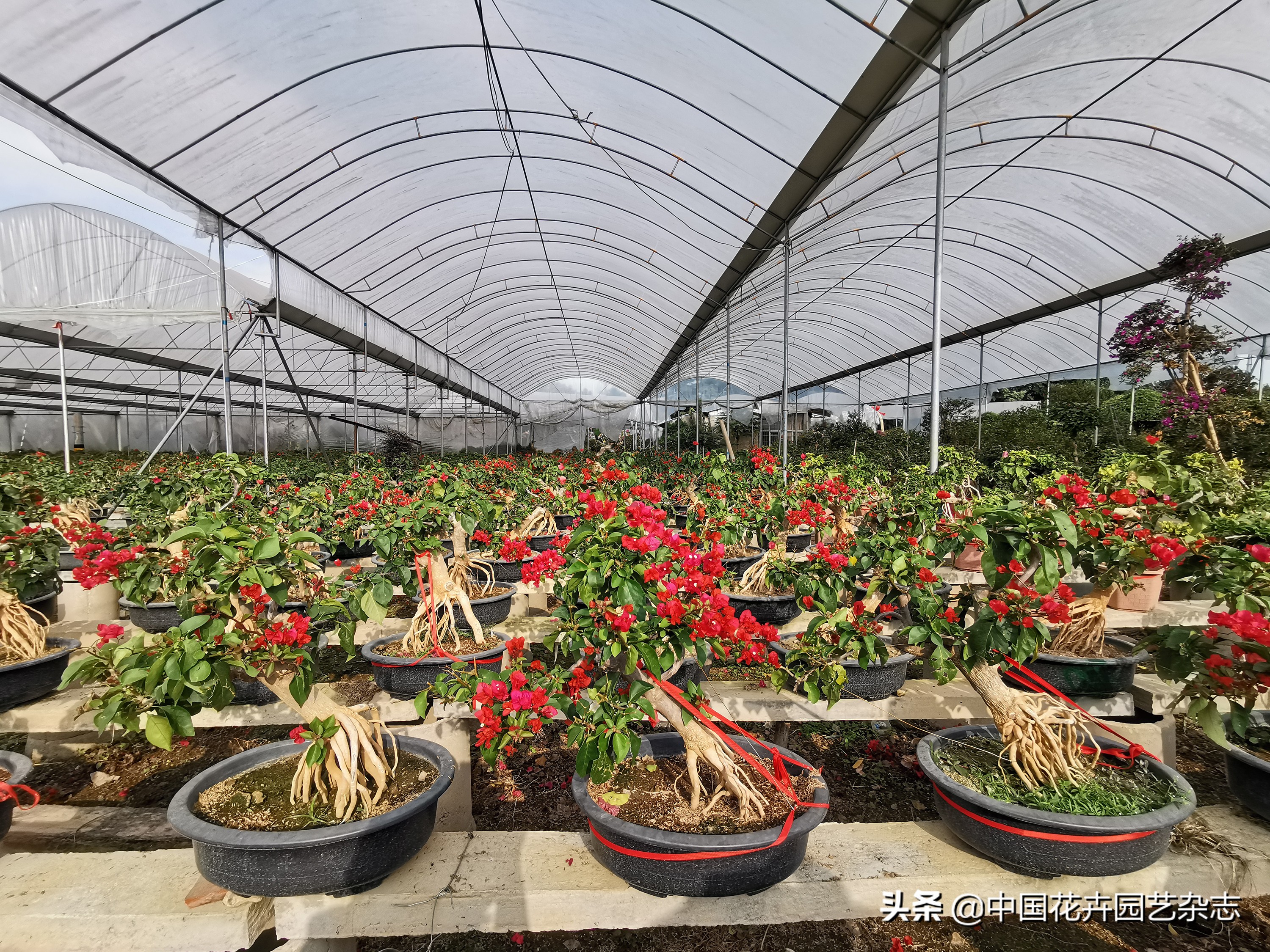 为两大产业率先突破注入鲜活动力,为经济发展注入新动力新活力