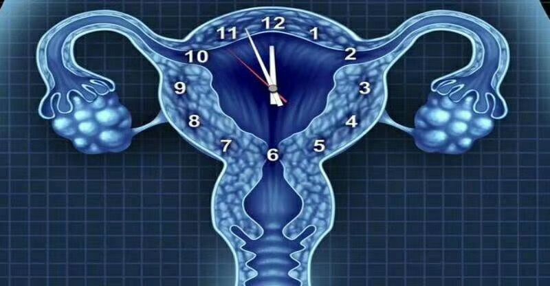 内膜薄怎么办?最全的方法赶快收藏