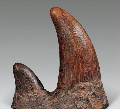 盘点文玩圈中不能碰的五种文玩,这6种文玩一定不要碰太吓人了