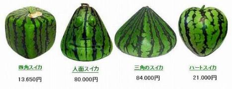 在日本的十大奇葩现象,日本人不曾在意的细节