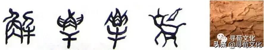 姓氏文化汉字艺术,汉字的艺术与中华姓氏文化