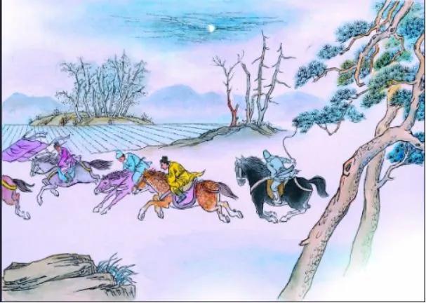 雪里红抖音,雪里红全部抖音号