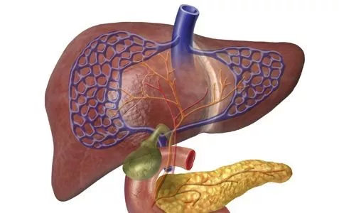 肝脏检查报告的7种异常信号,肝脏检查指标正常还是肝癌