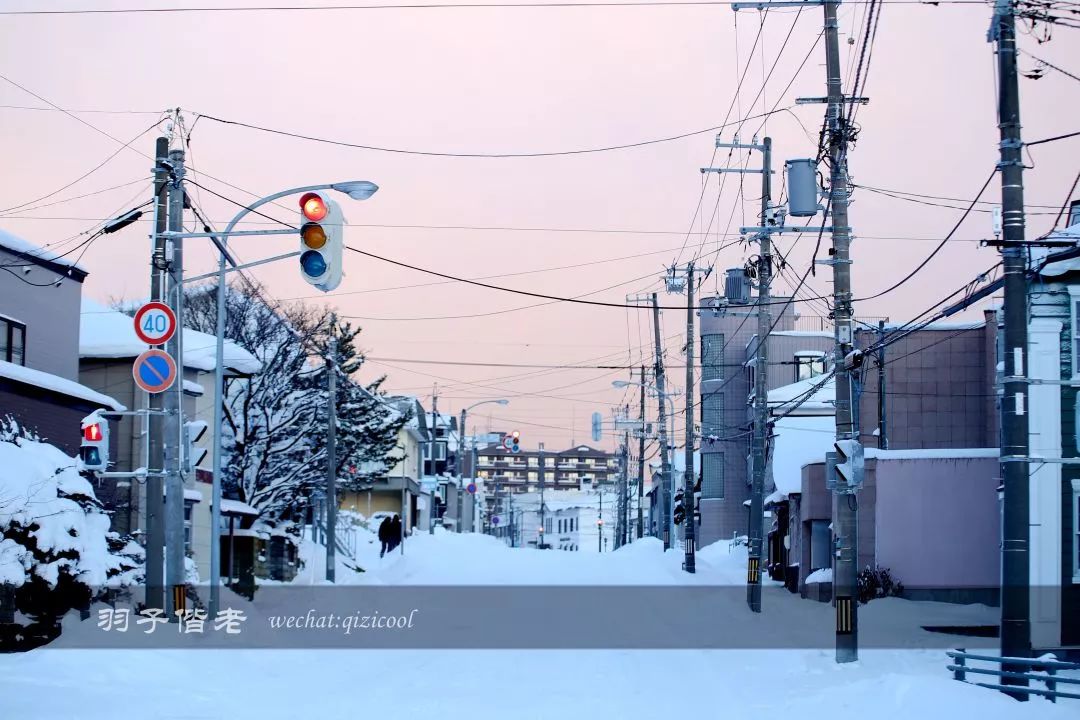 老实说,这一趟北海道就是为了拍好看的照片去的