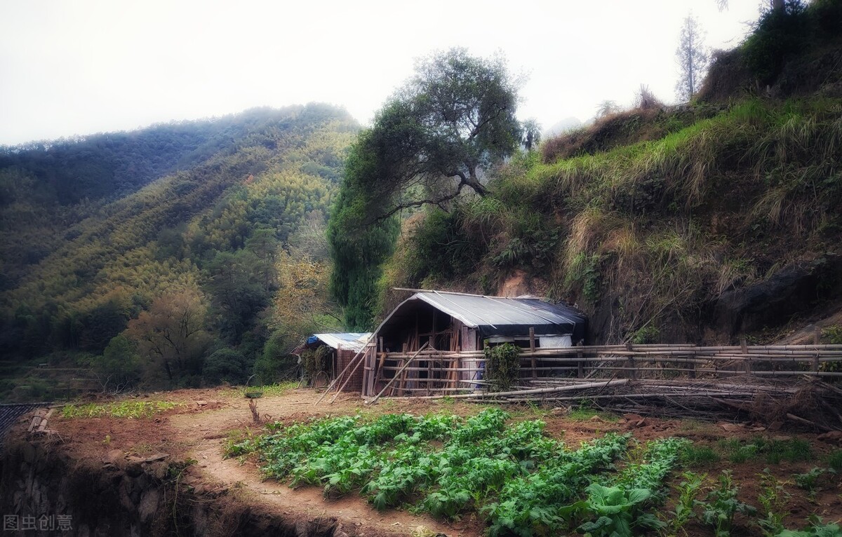 《乡村驾游故事》：惊魂已定，野外烧烤乡村梦