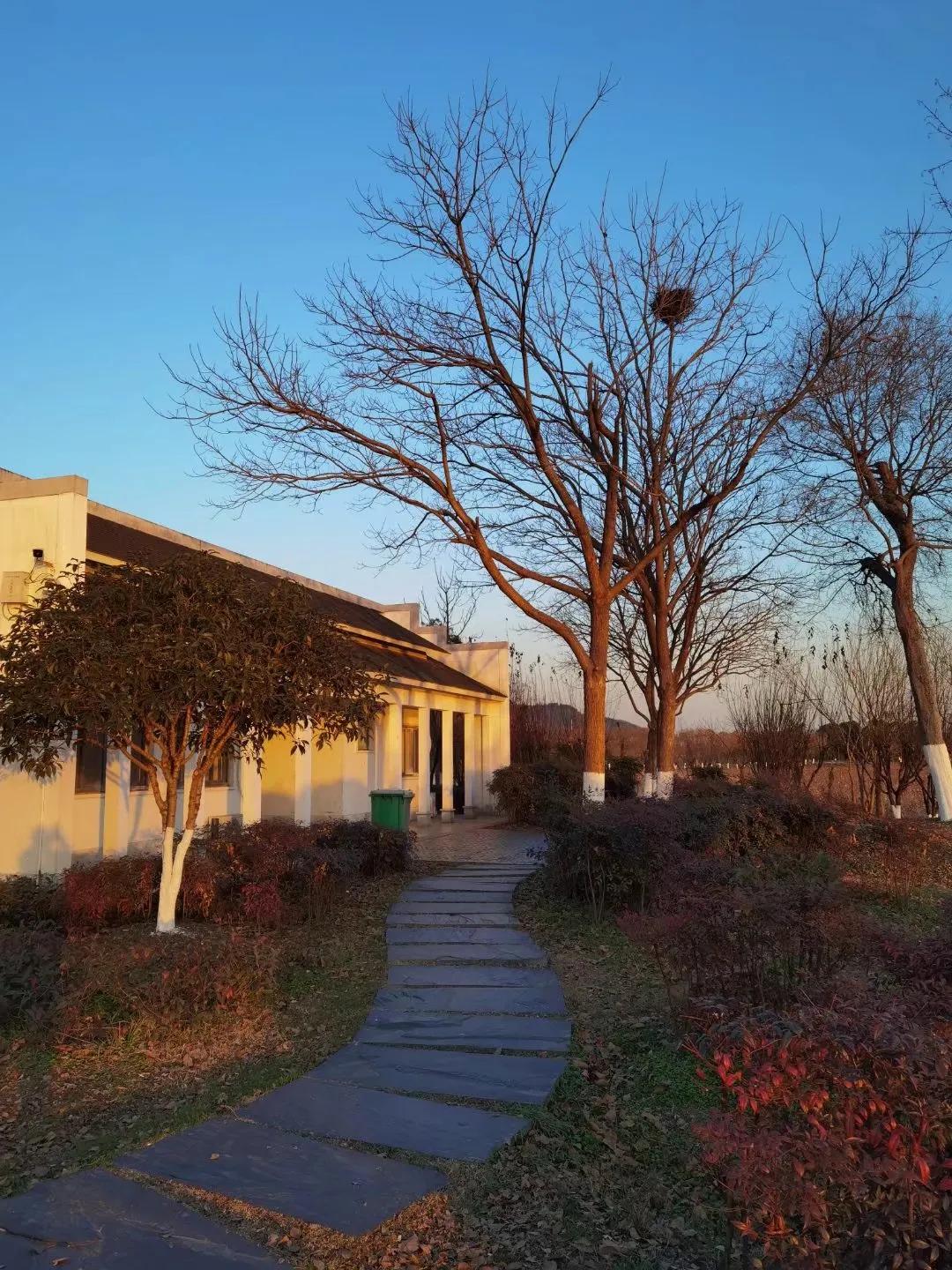 身体健康才是最大的财富英语,身体健康才是最大的财富图片