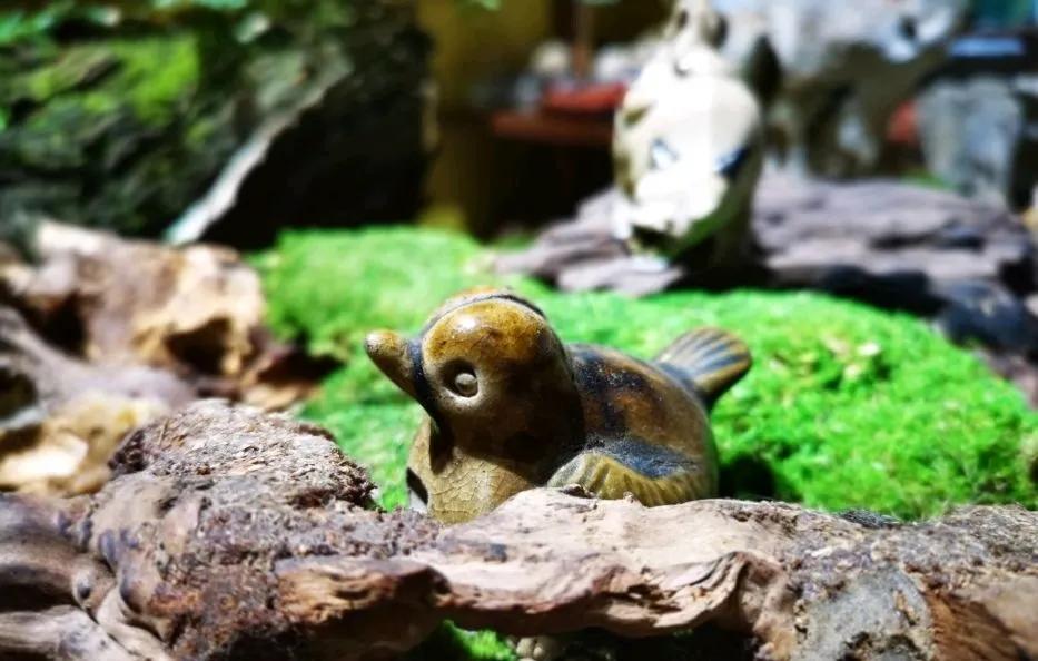 面对护短的婆婆我该怎么办,面对公公婆婆的偏心我无能为力