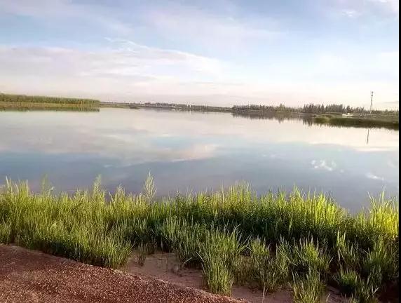 美不美，先看水！走进纳林湖，看巴彦淖尔水美