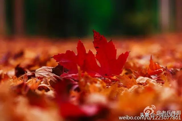 大连有一个蓝色的小城堡景点,大连秋季旅游景点攻略大全